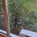 Brancoveanu, Secuilor, 10 minute metrou si parc, ocazie,